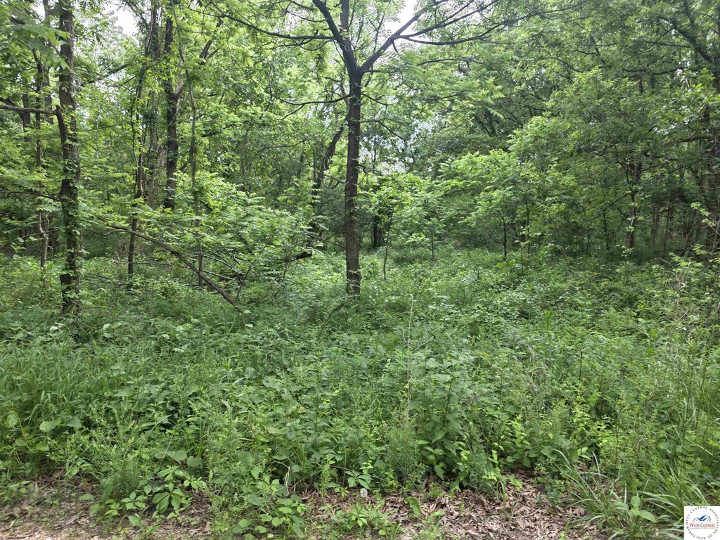Picture 8