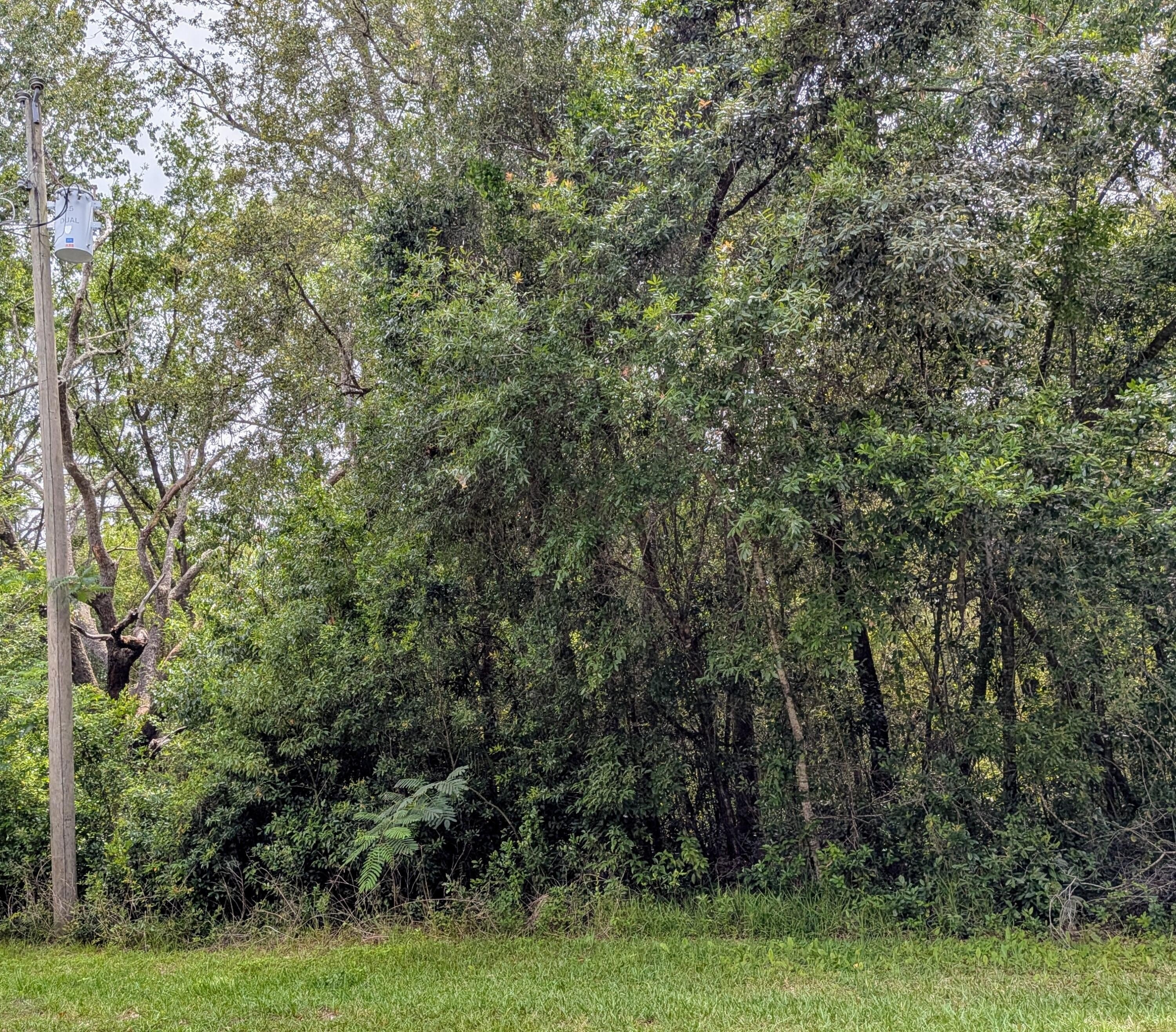 Citrus Springs Land Parcel