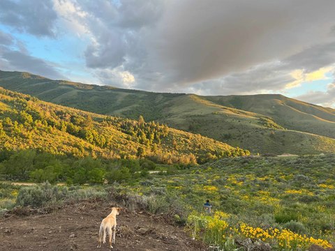 LAND - Pocatello, ID