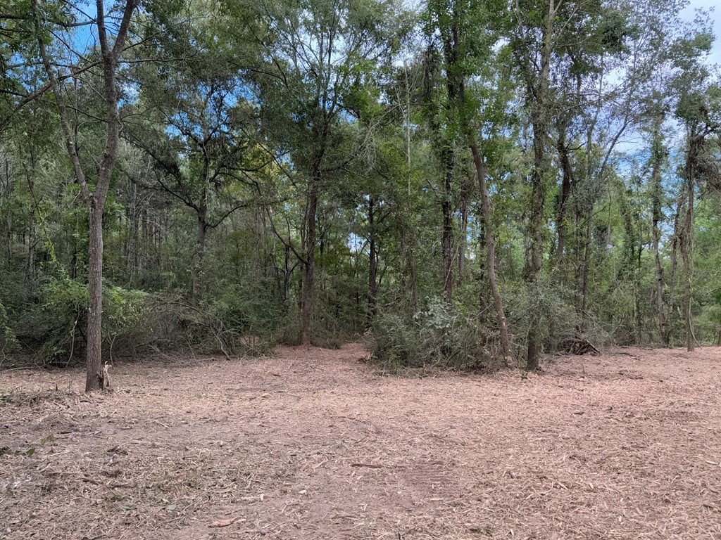 Picture 5