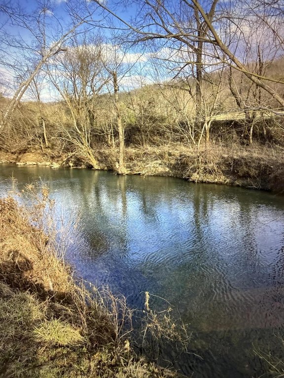 Picture 15