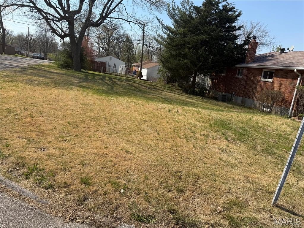 Picture 4