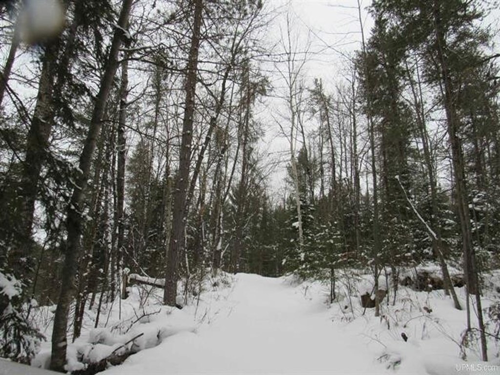 Picture 19