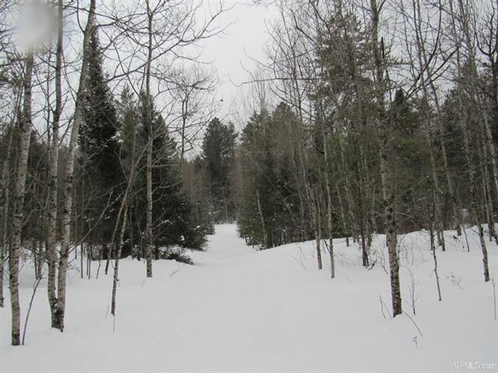 Picture 14