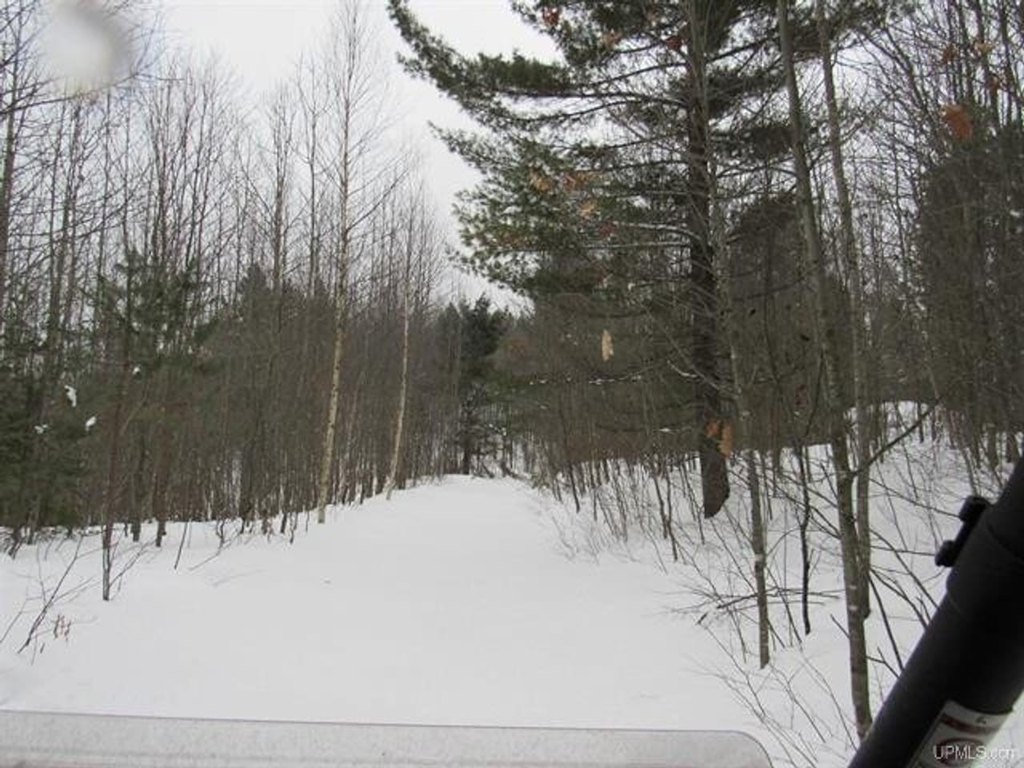 Picture 6