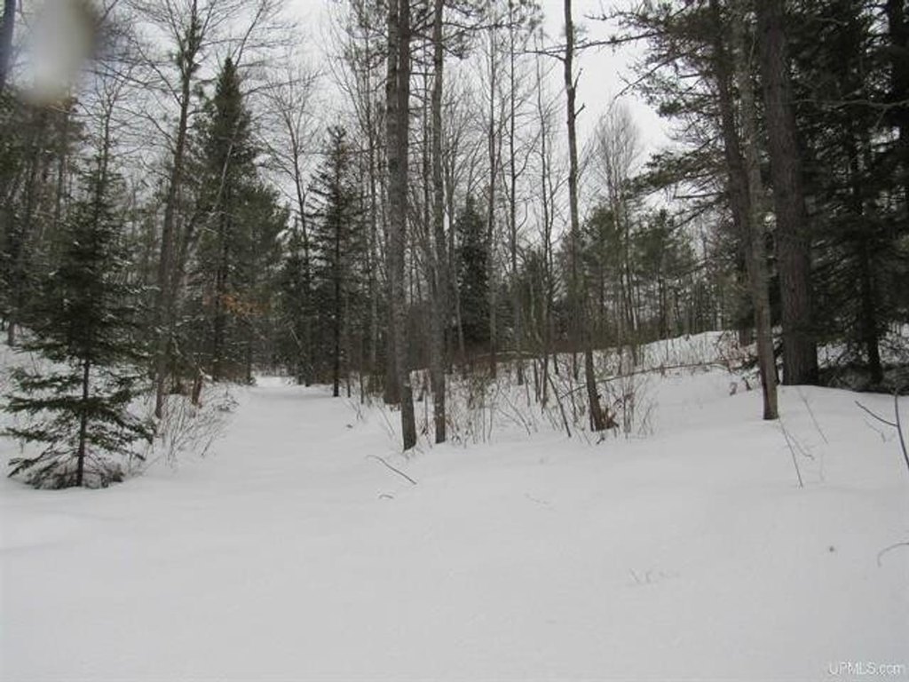 Picture 23