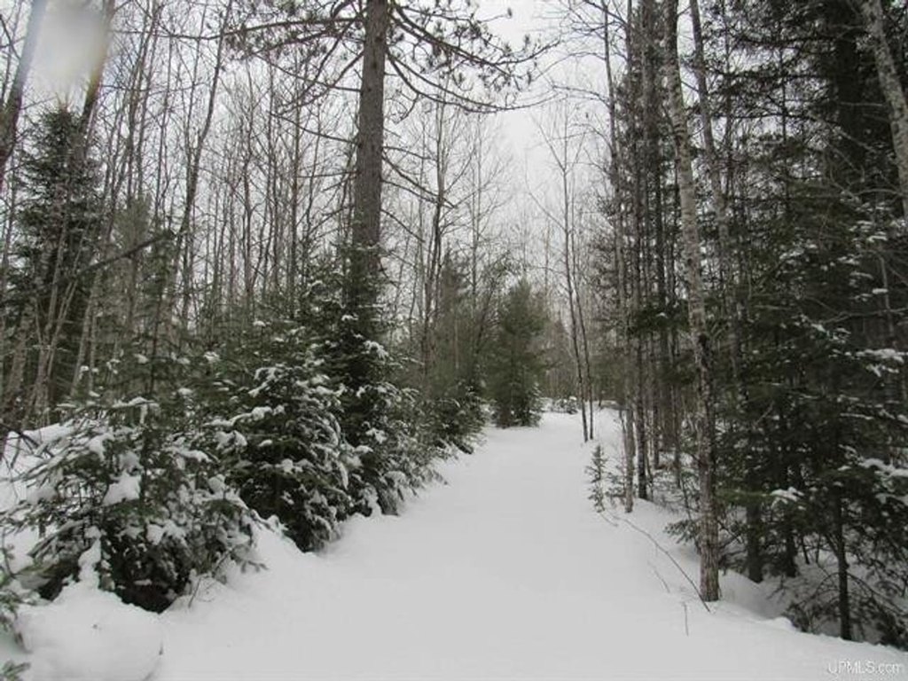 Picture 12