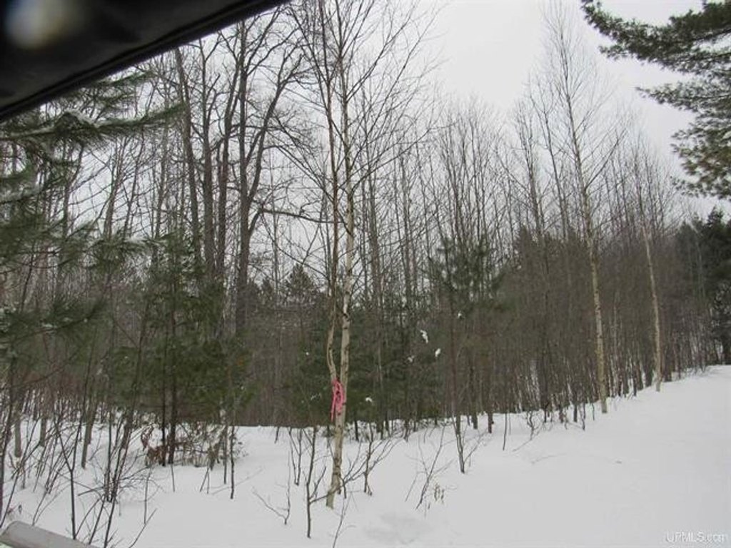 Picture 7