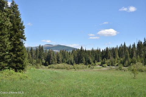 Fernwood Land with Creek and Timber