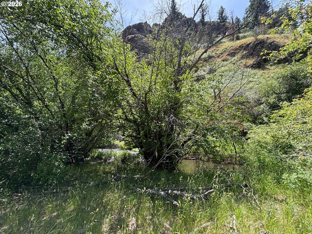 Picture 8
