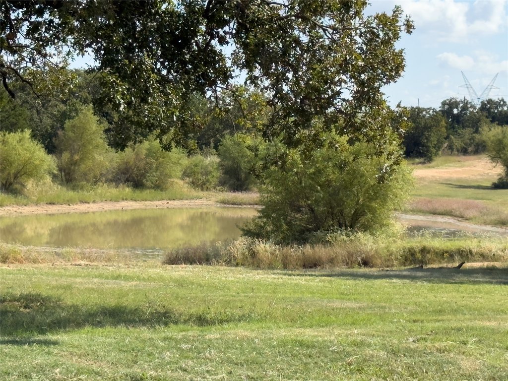 Picture 18