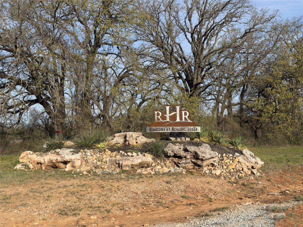 Picture 21