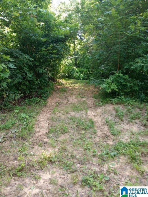 Picture 9