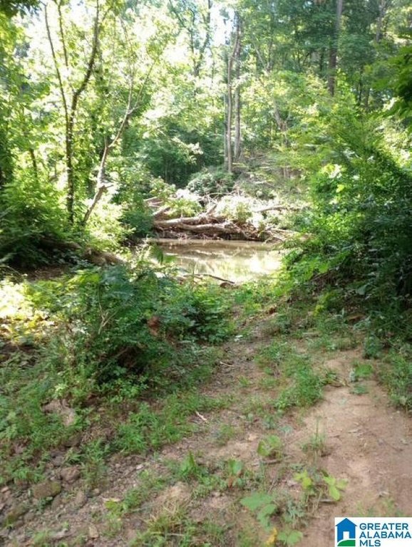 Picture 12