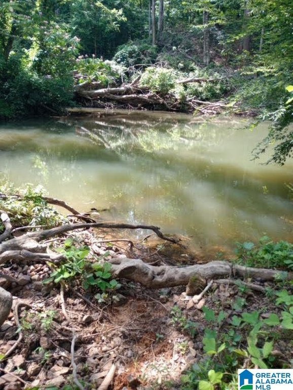 Picture 13