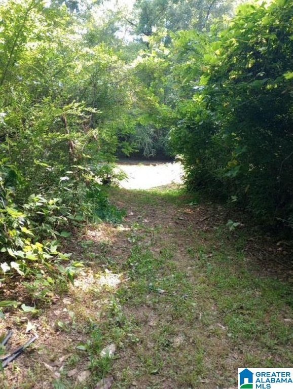 Picture 16