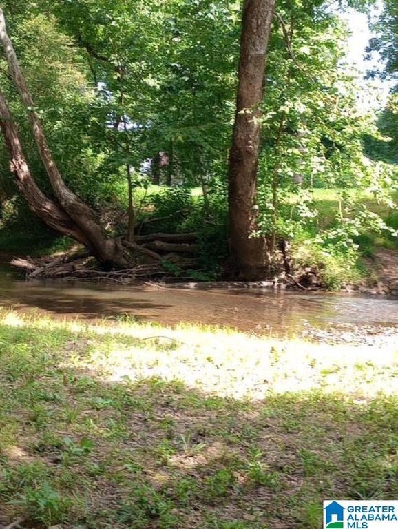 Picture 10