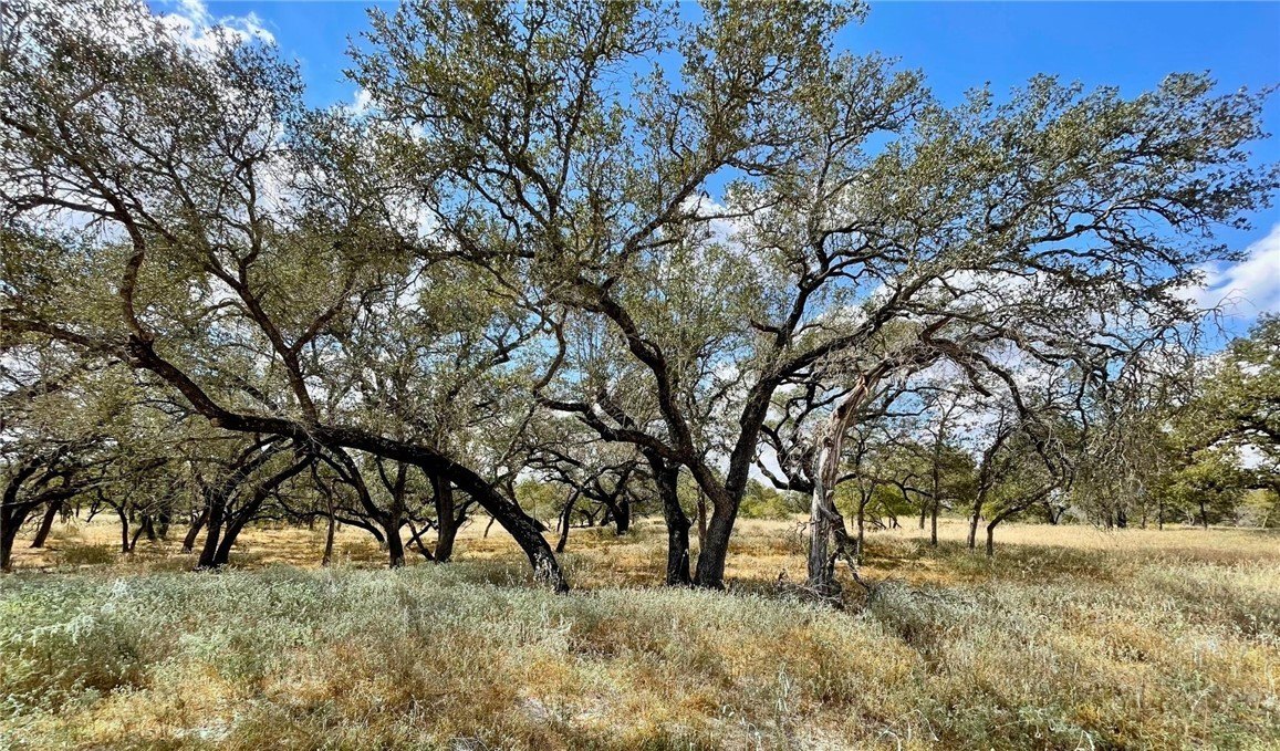 Acre Lot Ready for Home