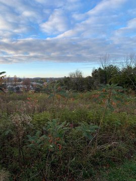 Morristown Commercial Property for Sale