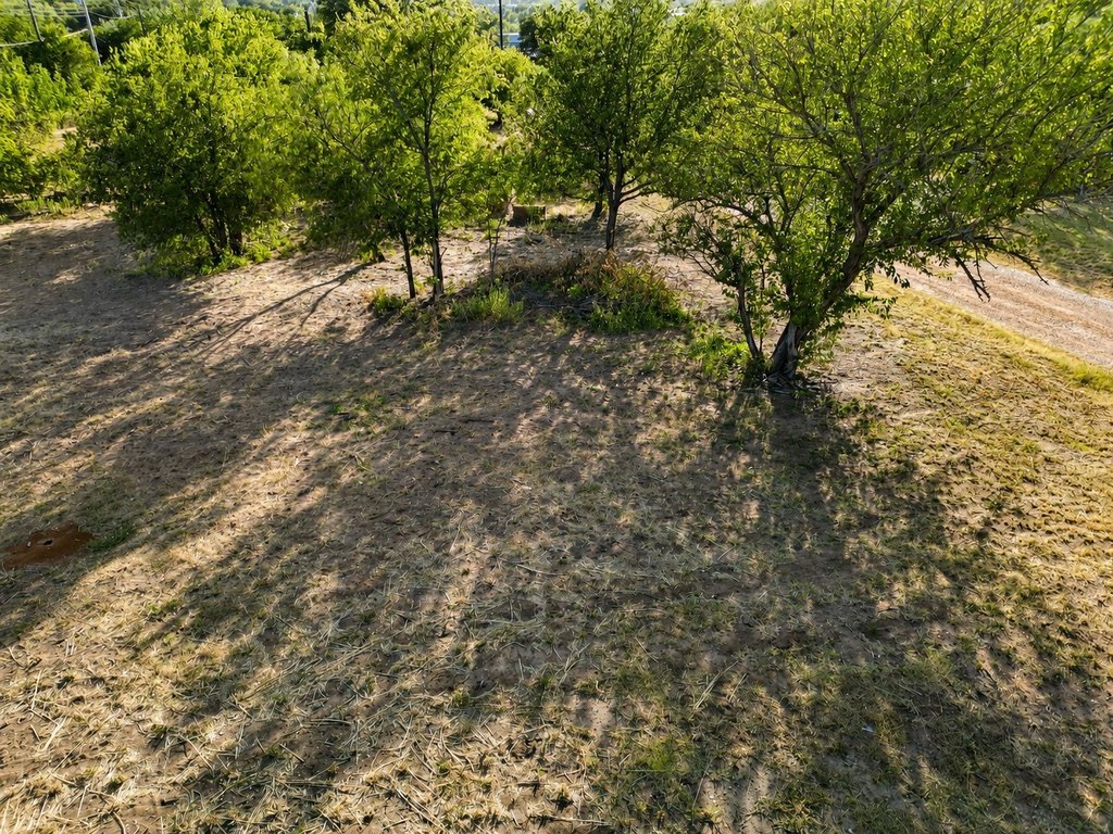 Picture 6