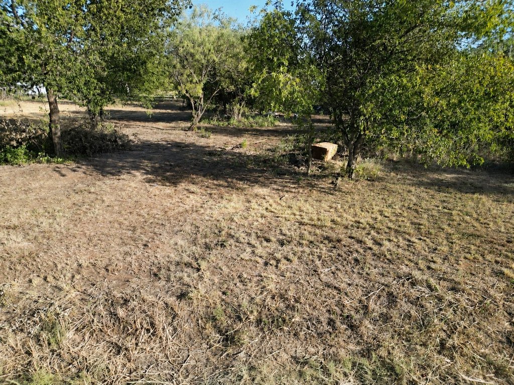 Picture 12