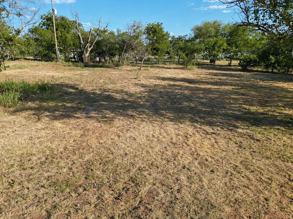 Picture 9