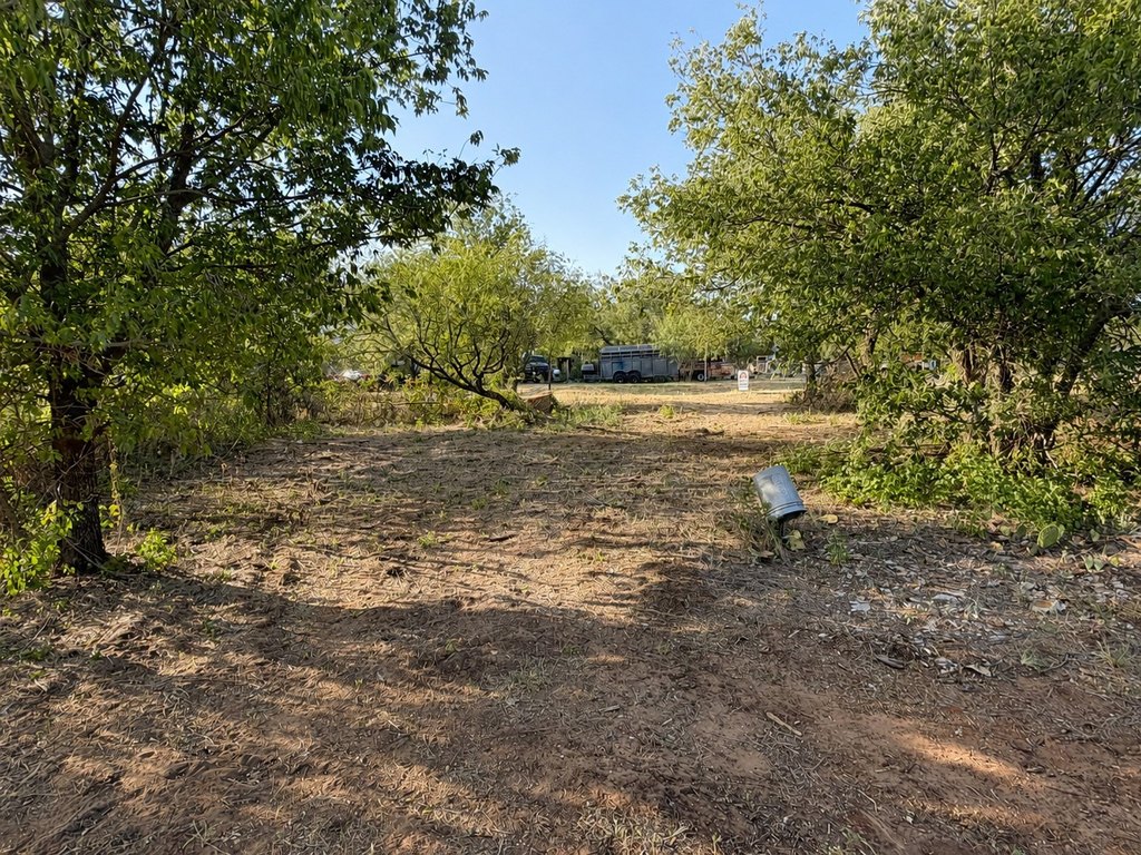 Picture 10