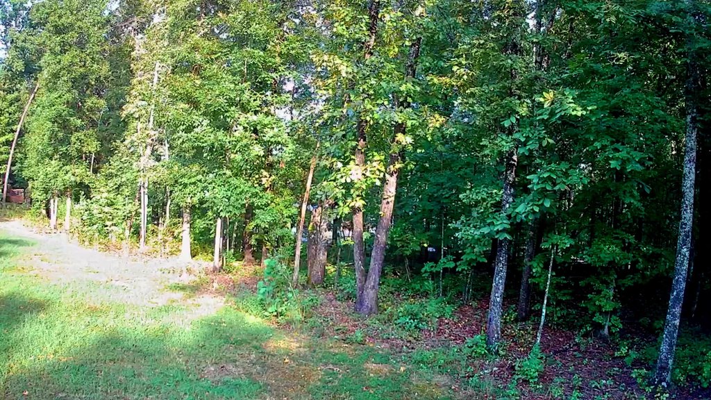 Picture 3