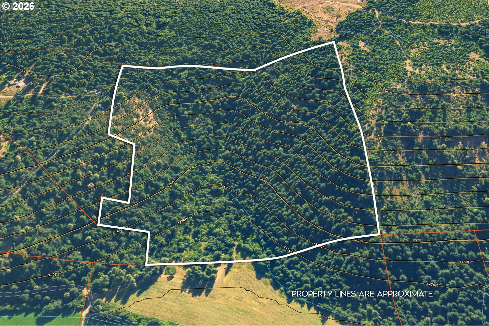 Trout Lake 38-Acre Land Parcel