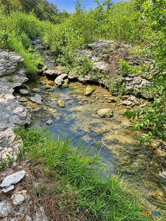 Picture 8