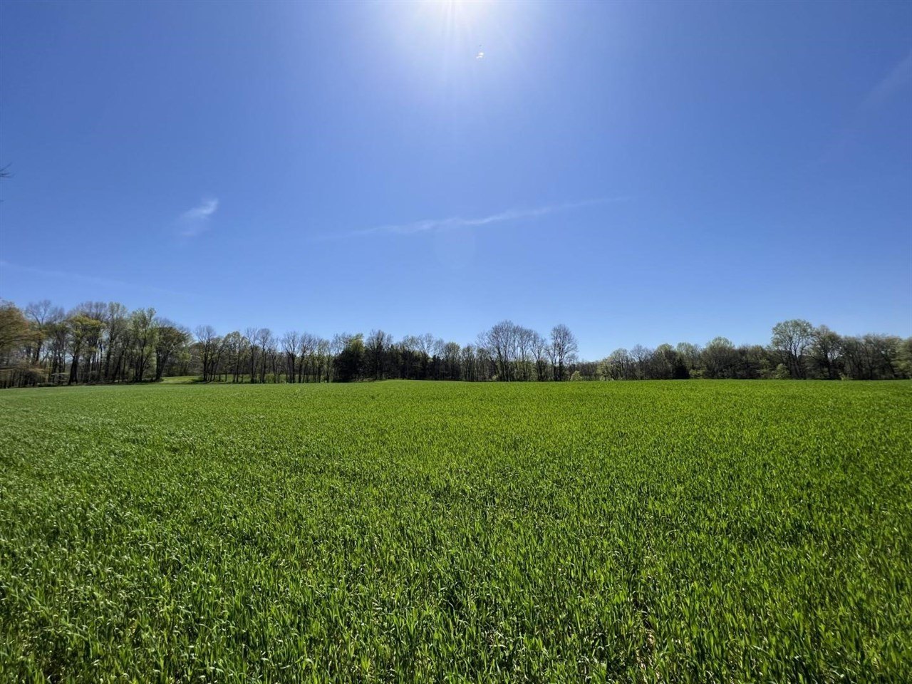 172 Acres Farm in Scottsville