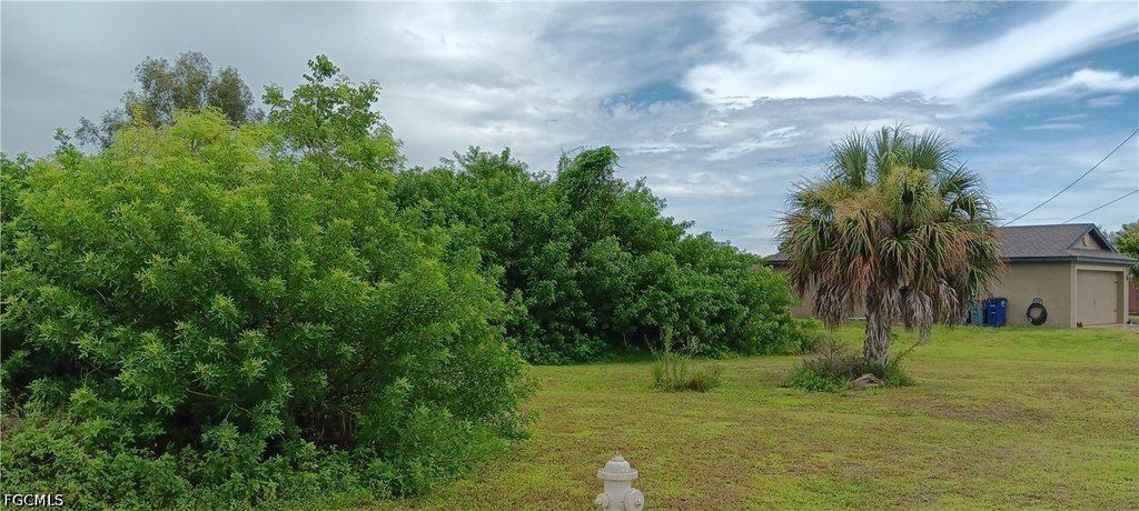 Picture 5