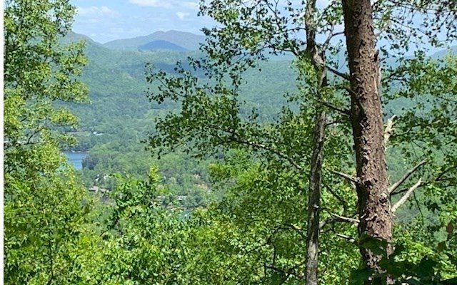 Picture 7