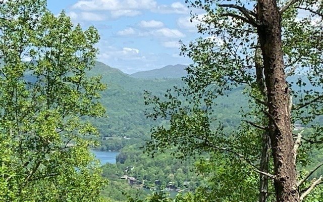 Picture 2