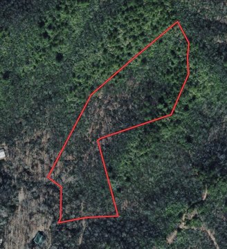 Hayesville Land Bordering USFS