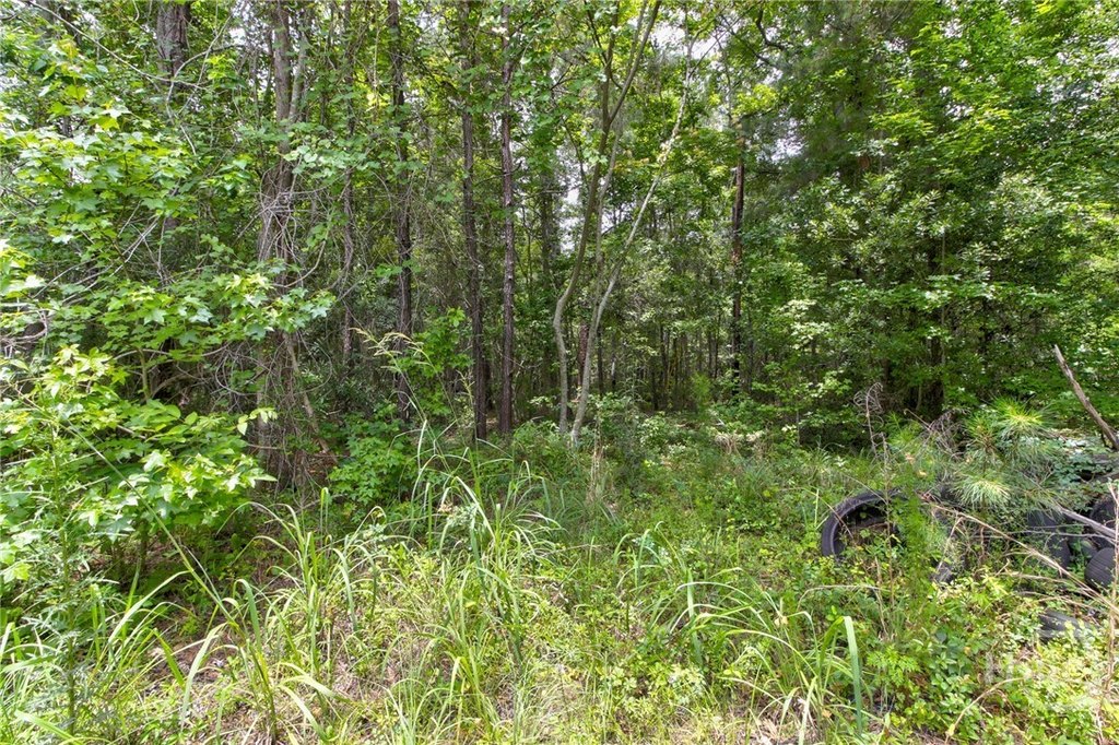 Picture 23