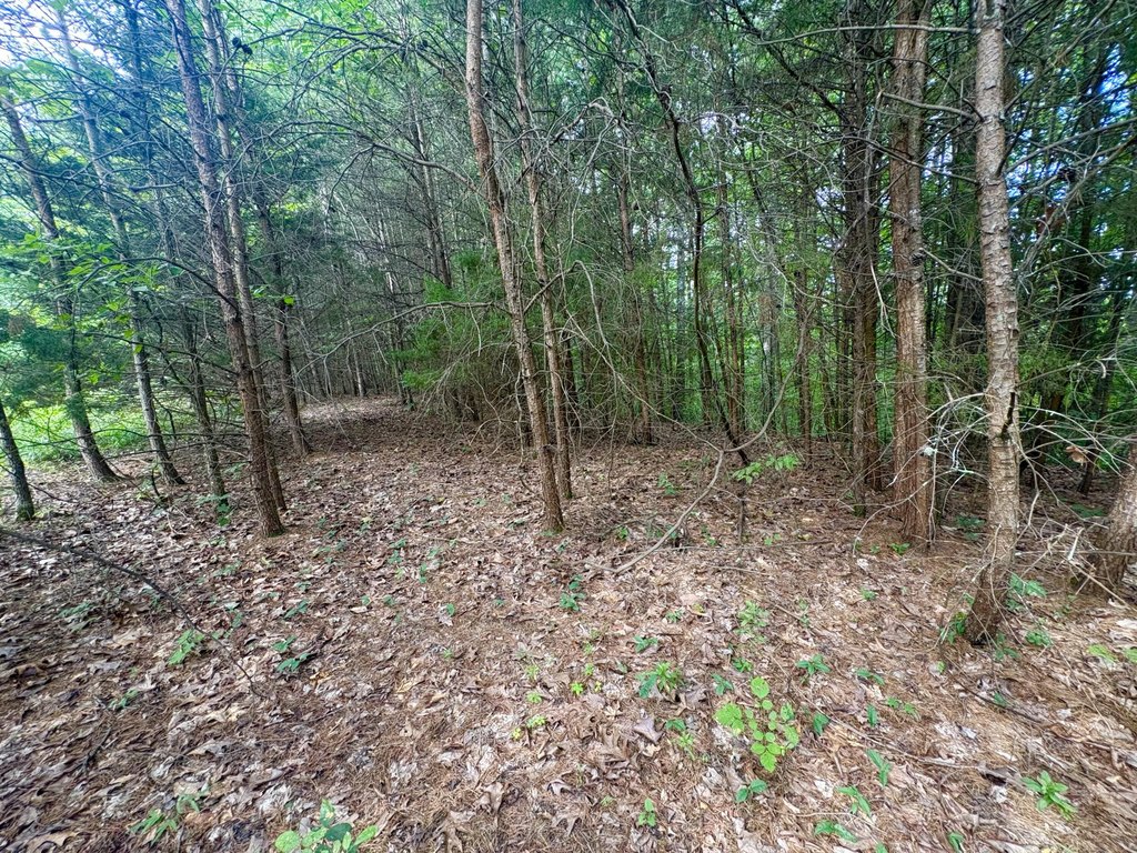 Picture 14