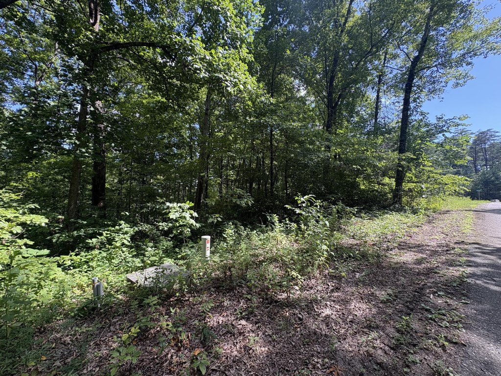 Picture 18