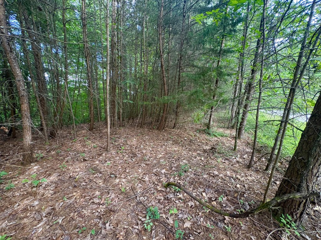 Picture 16