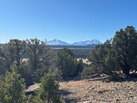 35 Acres of Recreational Land