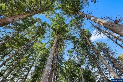 Bare Land, Lyons, OR