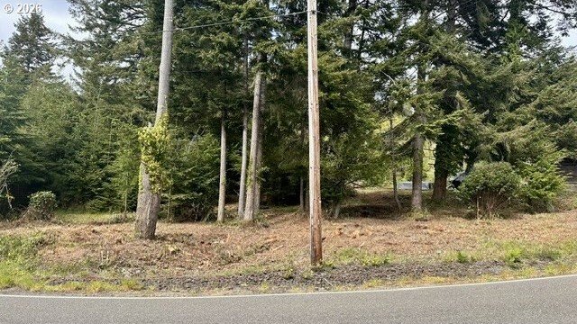 Picture 23