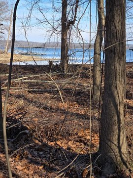 Waterfront Land in Big Sandy
