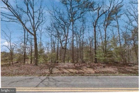 Land, WINCHESTER, VA