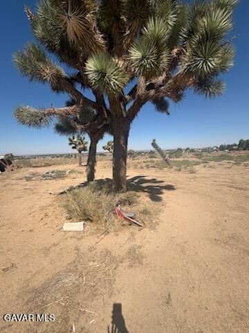 Picture 6