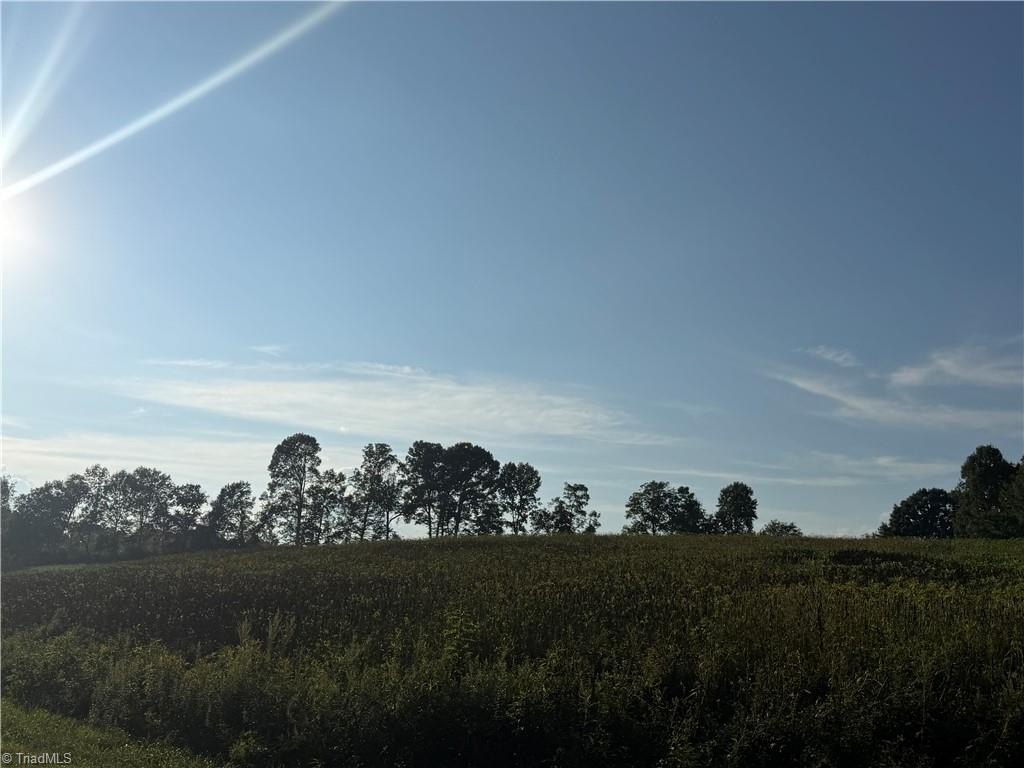 Picture 32