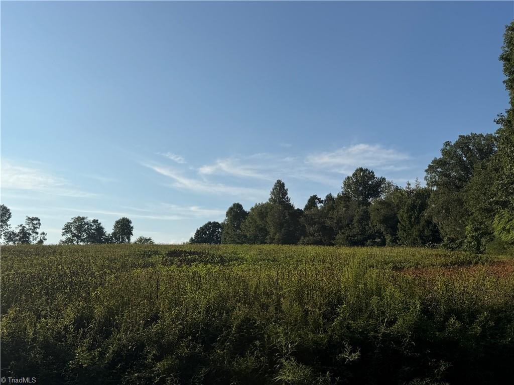 Picture 33