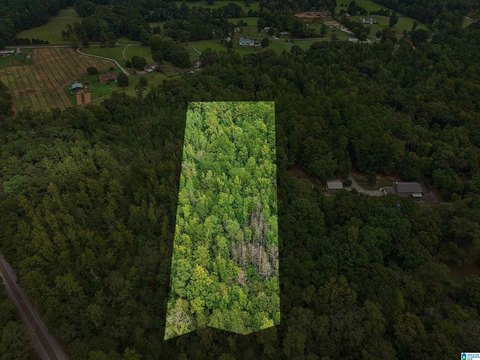 LAND/LOTS, VINCENT, AL