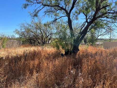 Residential Lot in Big Spring