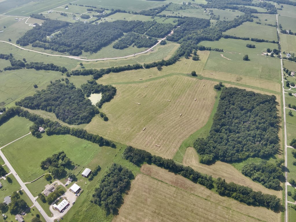 Picture 12